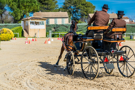 Equestrian, driving, dressage and maneuverability competitions.の写真素材