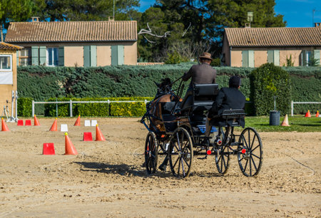 Equestrian, driving, dressage and maneuverability competitions.の写真素材