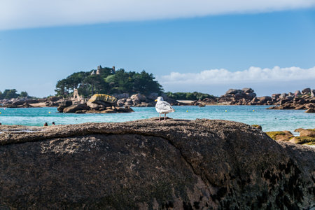 Perros-Guirec beach, CÃ´tes-d'Armor, Brittany, France.の写真素材