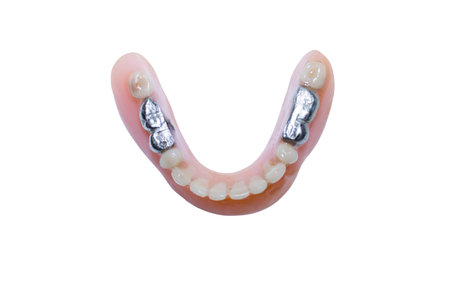 dentures are isolated on white background