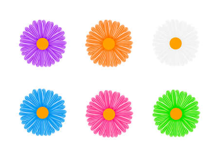 Chamomile.The flowers are multicolored. vector illustration on white background.のイラスト素材