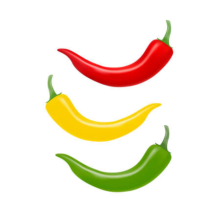 A pepper vector isolated on white background.のイラスト素材