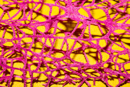 Purple mesh fabric on yellow background.の写真素材