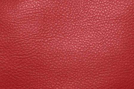 Texture of red genuine leather.の写真素材