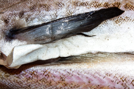 Pollock fish raw.