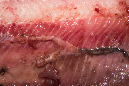 Background of herring fillets.Herring meat texture.Herring in the context.