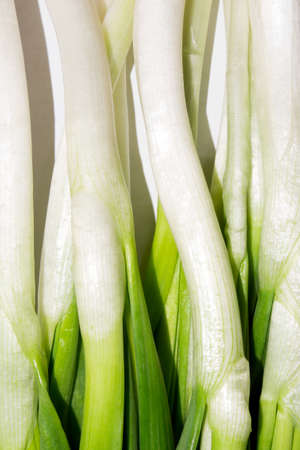 Green onion.Background of green onion feathers.の写真素材