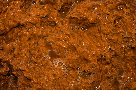 Texture of shit.Background of excrement.の写真素材