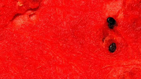 Texture of red watermelon with bones.