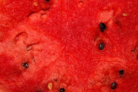 Texture of red watermelon with bones.の写真素材