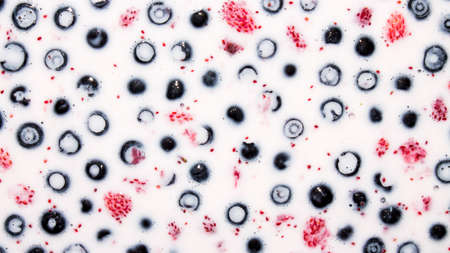 Blueberries and strawberries in milk.の写真素材