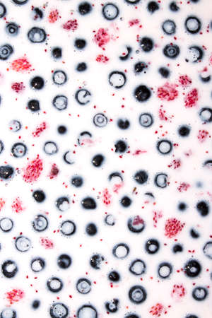 Blueberries and strawberries in milk.の写真素材