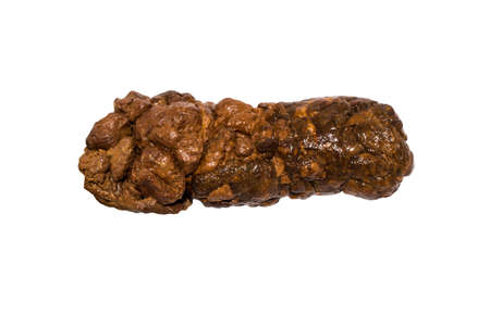 Shit on a white background.Human excrement.の写真素材