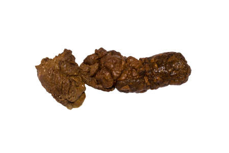 Poop isolated on white background.Shit on a white background.の写真素材