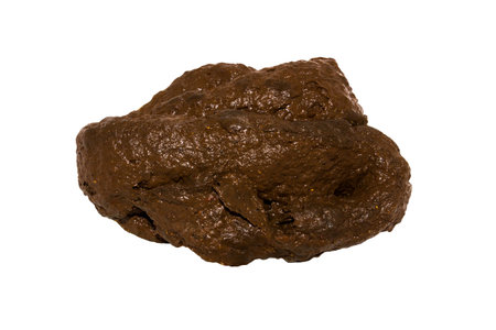 Poop isolated on white background.