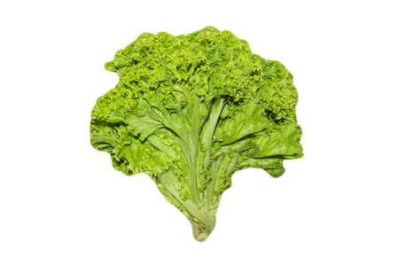 Leaf salad isolated on white background.