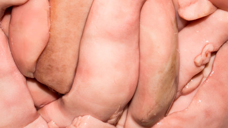 Sex glands of male fish.Fish dishes.