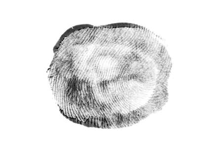 Fingerprints.Background with fingerprints.Black fingerprint on white background.の写真素材