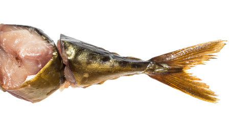 Cold smoked mackerel on white background. Smoked mackerel background.