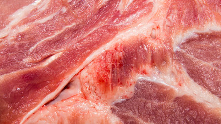 Piece of pork.Background of pork.The texture of the pork meat.