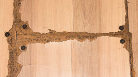 Old worn out laminate. Background of old cracked laminate.の写真素材
