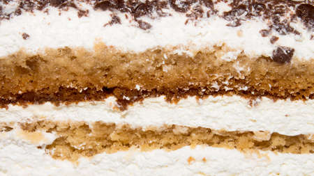 Sour cream cake. Background of smetannik cake. Juicy sour cream cake.の写真素材