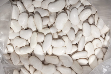 White beans Belozerka. The texture of the white beans. White bean background.