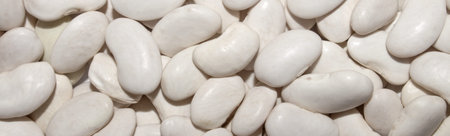 White beans Belozerka. The texture of the white beans. White bean background.
