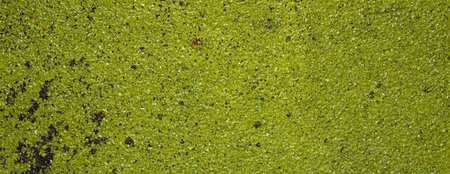 Rusty metallic green paint texture. Old green rusty background.