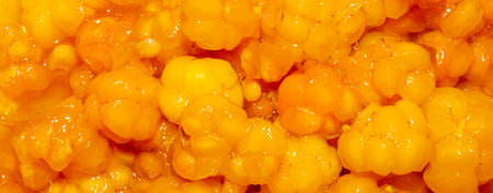 Forest berry cloudberry.Background cloudberry with sugar.の写真素材