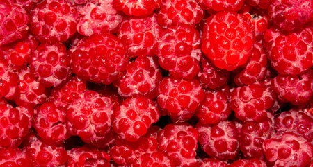 Raspberry background top view.