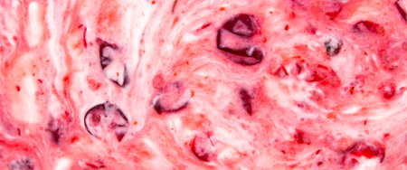 Lingonberry yogurt.Cranberry with sour cream view from above.