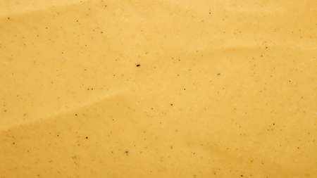Russian mustard. The texture of the mustard. Yellow mustard background top view.の写真素材