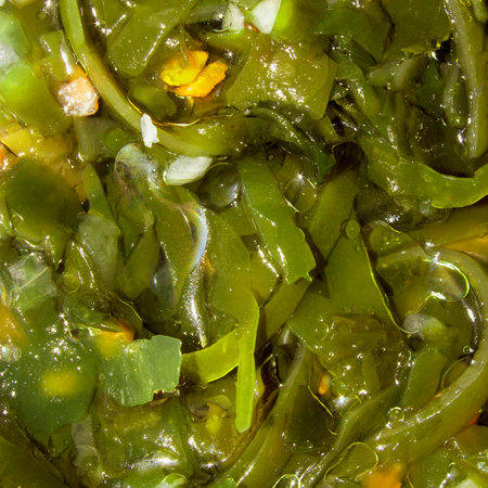 Sea kale. Sea Kale vitamin salad. Background seaweed is the top view.
