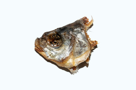 Fish head on a white. Dried fish head side view. Dried fish head.