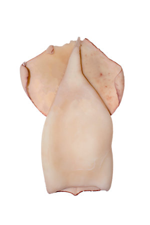 Peeled squid carcass on a white background. Photo squid studio. Fresh raw squid carcass.の写真素材