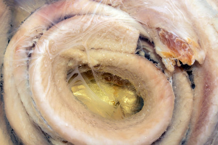 Fillet of salted herring in oil top view. Salted herring in oil background. Russian herring in oil.