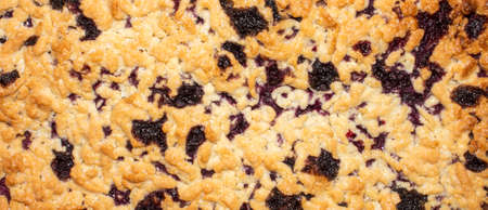 The texture of a shortbread blueberry pie.の写真素材