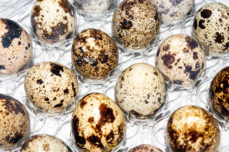 Quail eggs on a white background.Quail eggs background.Homemade quail egg.の写真素材
