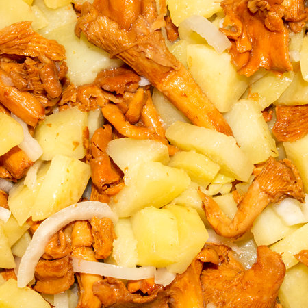 Fried potatoes with chanterelle mushrooms.Background of fried potatoes with chanterelles.Homemade Russian potatoes with mushrooms.の写真素材