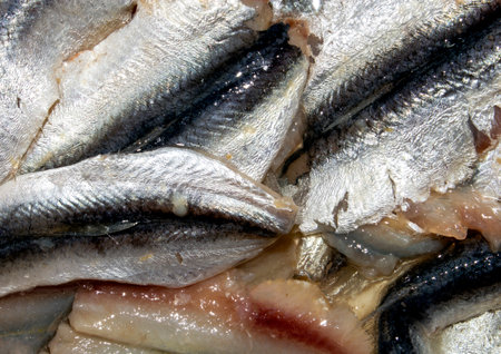 Lightly salted sprat fillet.Baltic sprat with spicy salt.Sprat is a fish of the herring family.Sprat for a snack.の写真素材