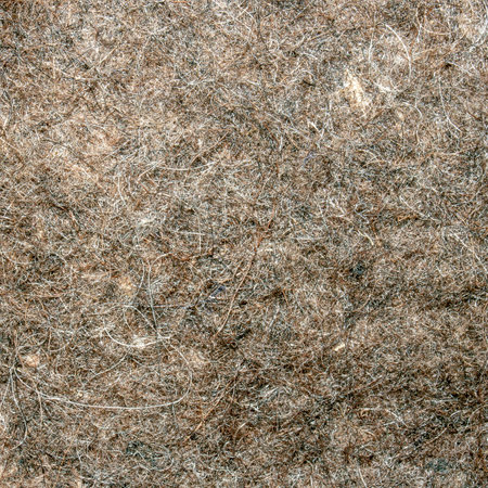 The texture is made of dog hair.The background is made of dog hair.Dog hair surface top view.Dog hair photo.の写真素材