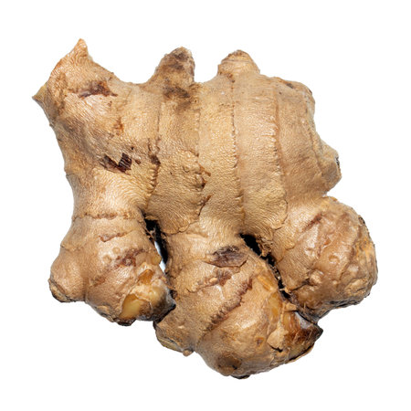 Ginger rhizome on a white background.Medicinal ginger.Natural food-grade ginger.Ginger root...