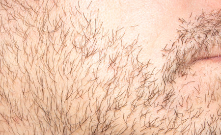 The bristles are a hard, elastic covering of thickened hair. Stubble on a man's face. Stubble of hair background.の写真素材