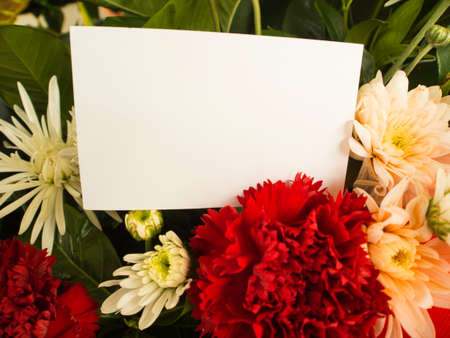 blank white card with flower in flower shopの写真素材