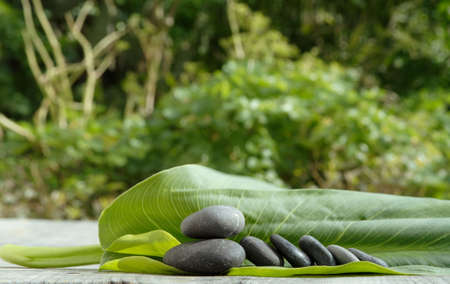 Leaf and black stonesの写真素材