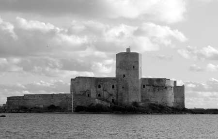 Colombaia islandの写真素材