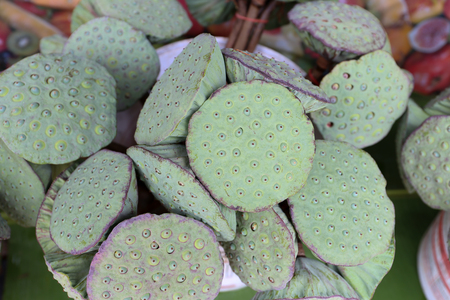 Fresh lotus seeds in lotus seed heads in domestic store, Lotus nuts.の写真素材