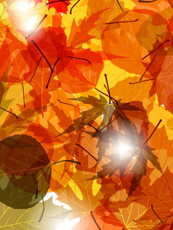 Light through autumn leaves.  のイラスト素材
