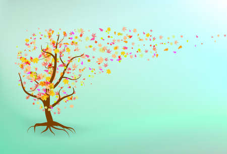 Autumn tree background.  のイラスト素材